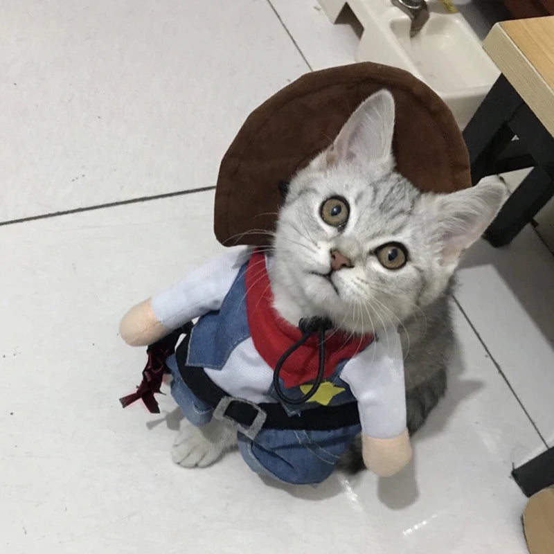 Cat wearing a costume with a brown hat and blue outfit on a white floor.