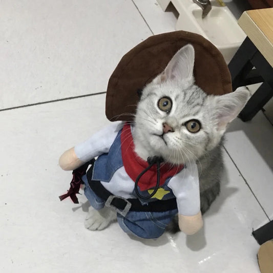Cat wearing a costume with a brown hat and blue outfit on a white floor.