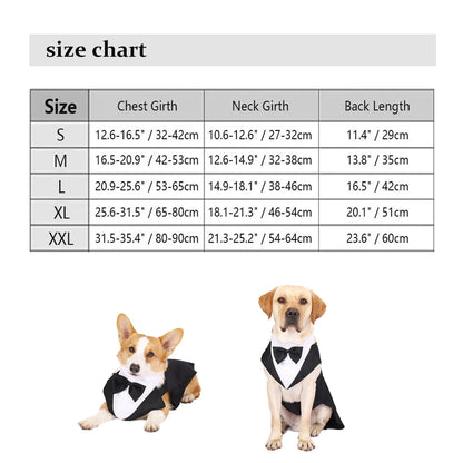 Size chart for dog tuxedos with two dogs wearing tuxedos on a white background