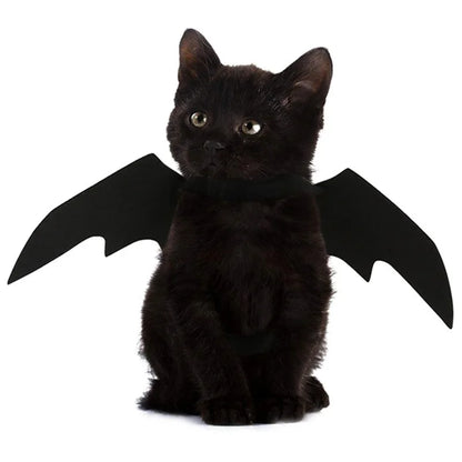 Black kitten wearing bat wings on a white background