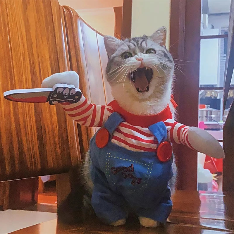Cat in a costume with a toy knife, standing indoors.