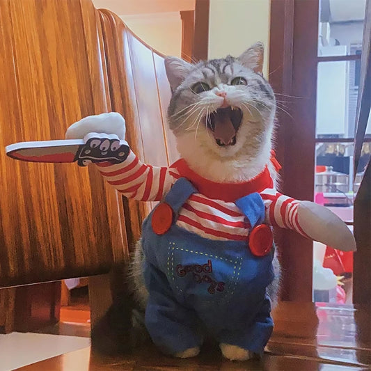 Cat in a costume with a toy knife, standing indoors.
