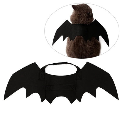 Black bat-winged pet costume with a small inset showing a cat wearing it.