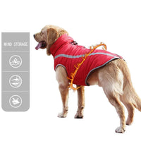 Dog wearing a red jacket with reflective stripes on a white background