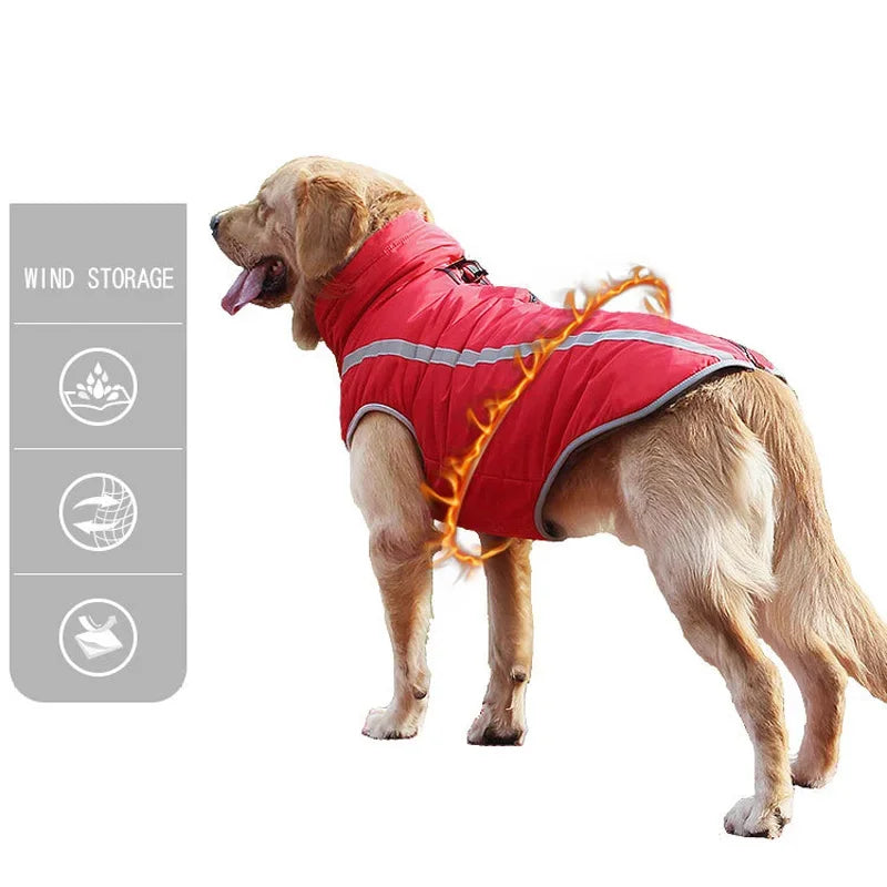 Dog wearing a red jacket with reflective stripes on a white background