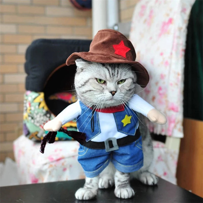 Cat wearing a cowboy costume with a hat and boots indoors.