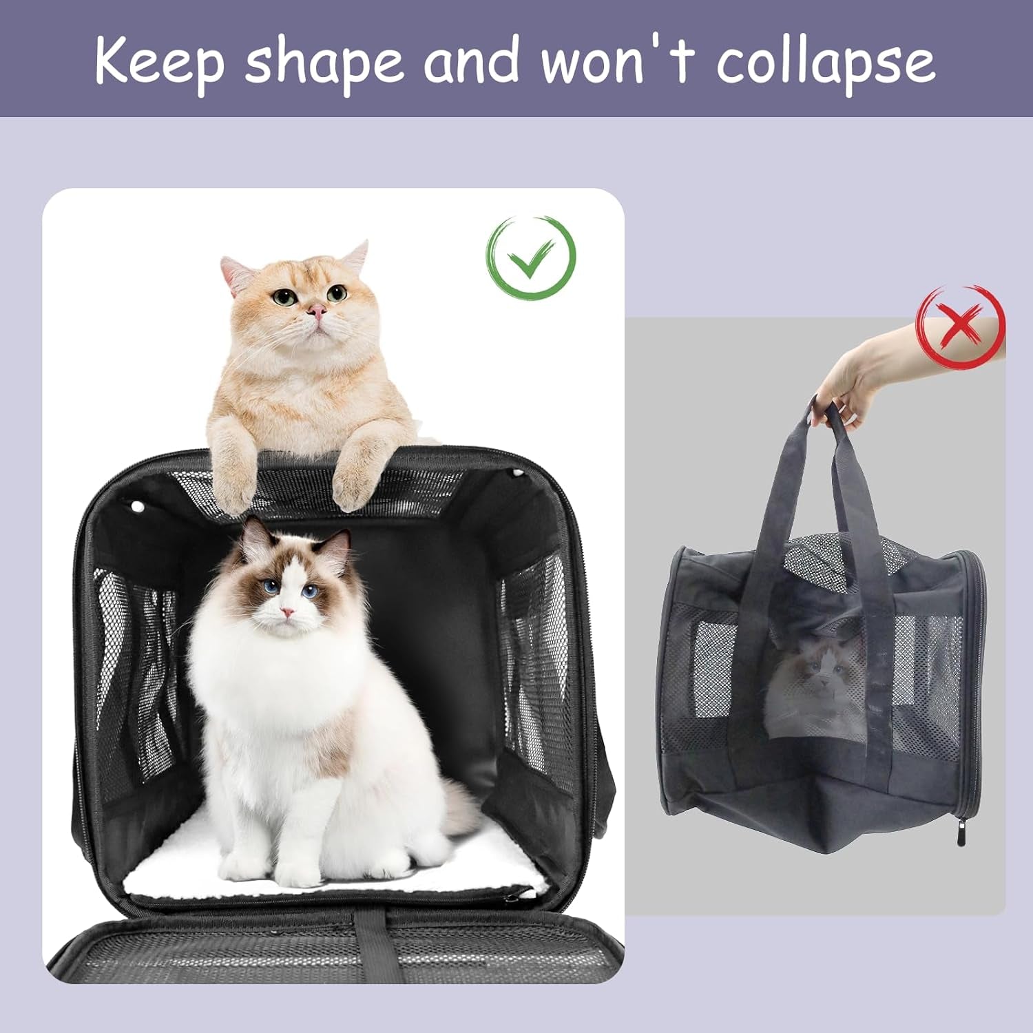 Pet Carrier Airline Approved Pet Carrier Puppy Dog Carriers for Small Dogs, Cat Carriers for Medium Cats Small Cats, Small Pet Carrier Small Dog Carrier Airline Approved Cat Travel Carrier-All Black