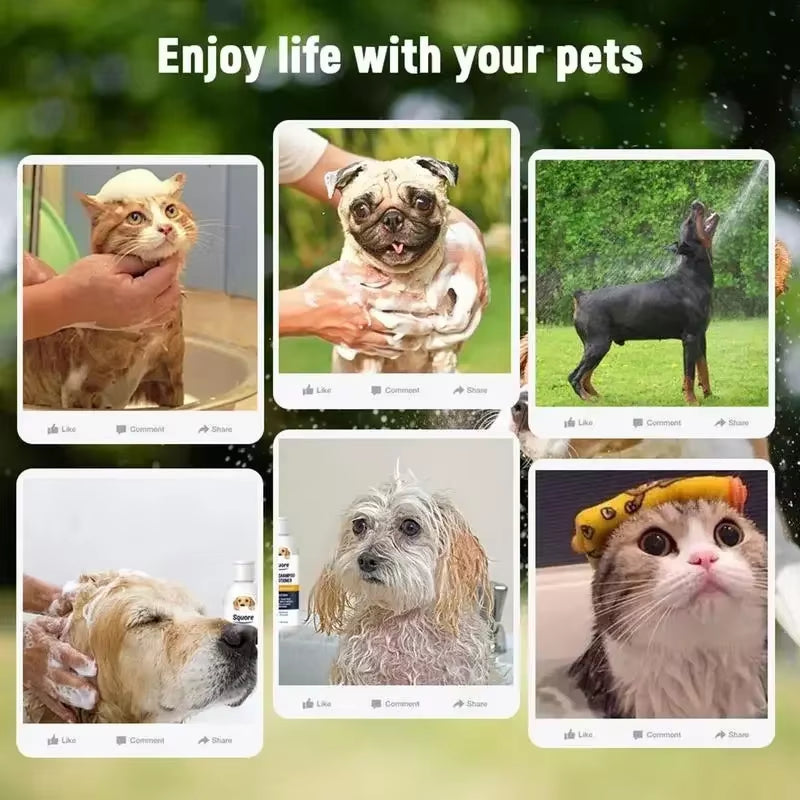 Transform Bath Time Into Bonding Bliss