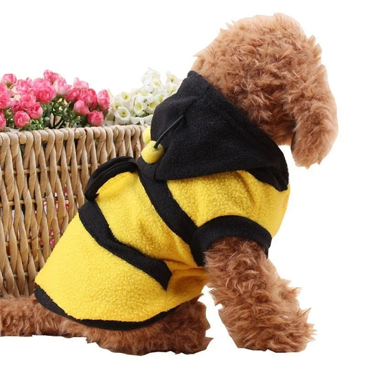Dog wearing a yellow and black bee costume with flowers in the background