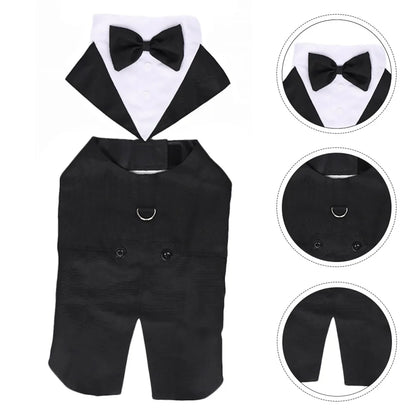 Black dog tuxedo with bow tie on a white background