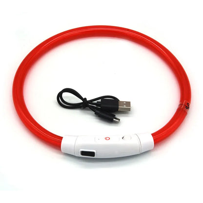 Red LED dog collar with USB cable on a white background