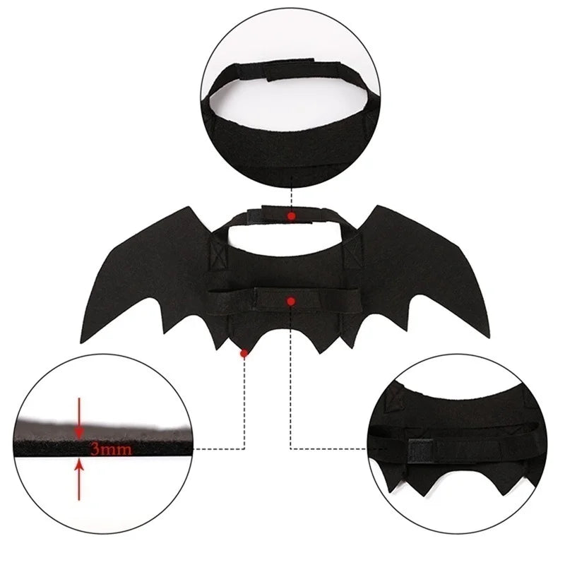 Black bat-shaped costume with detailed views on a white background