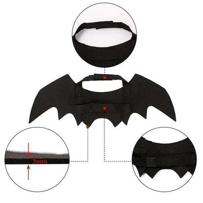 Black bat-shaped costume with detailed views on a white background