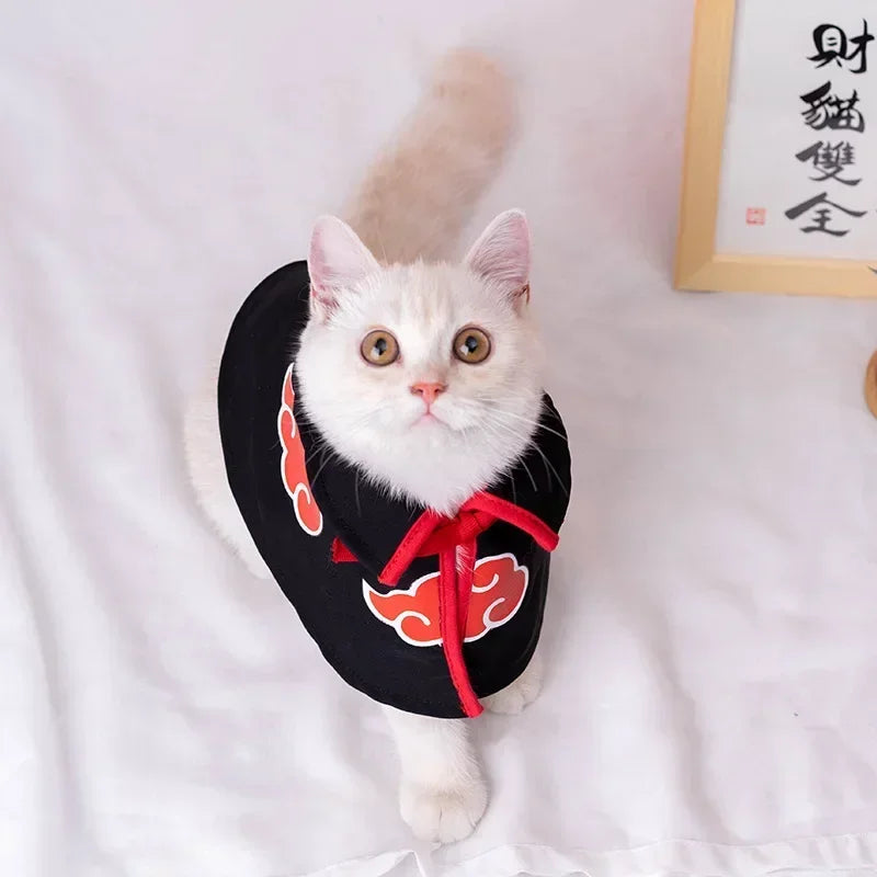 Cat wearing a black hat with red accents on a light pink background
