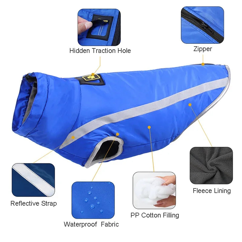 Blue dog coat with features highlighted on a white background