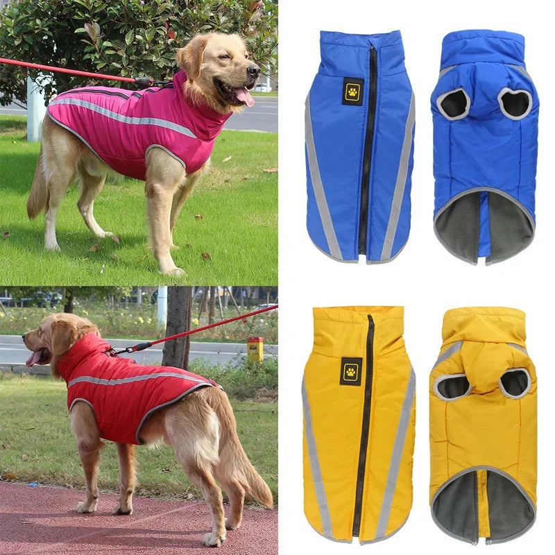 Shield Your Dog from Winter's Worst
