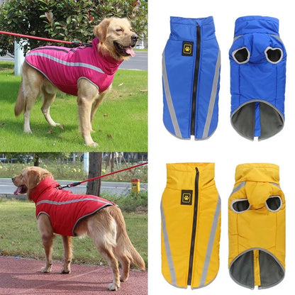 Dog wearing a pink coat outdoors, with blue, yellow, and red coats displayed.