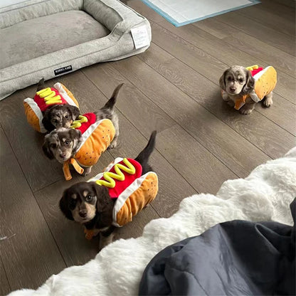 Four small dogs wearing hot dog costumes on a wooden floor.