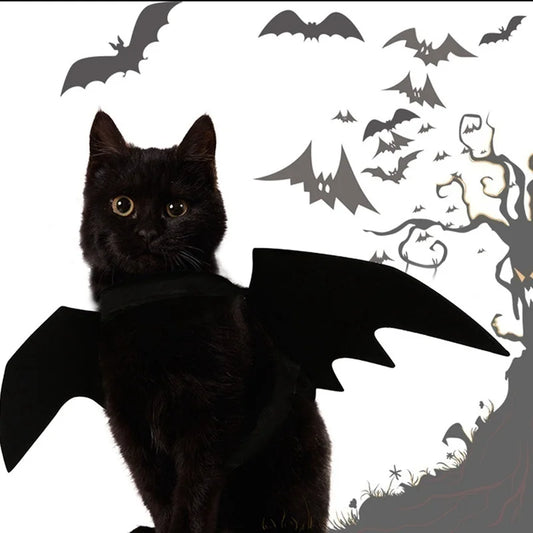 Black cat wearing bat wings with Halloween-themed background