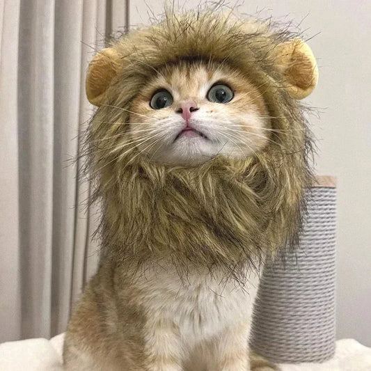 Cat wearing a lion costume with a neutral background