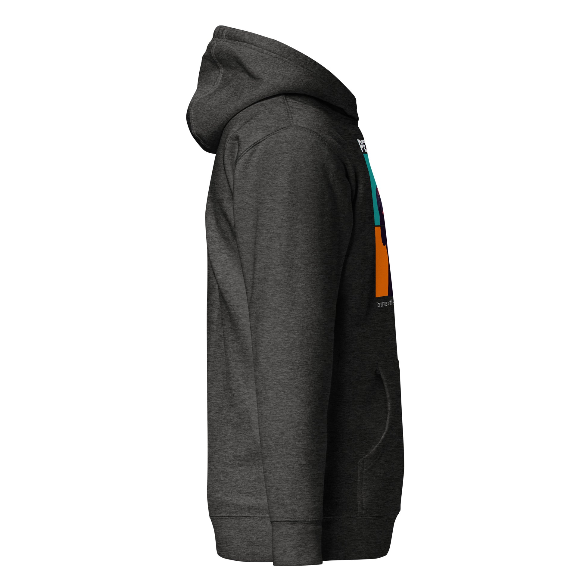 Gray hoodie with colorful side panels on a white background