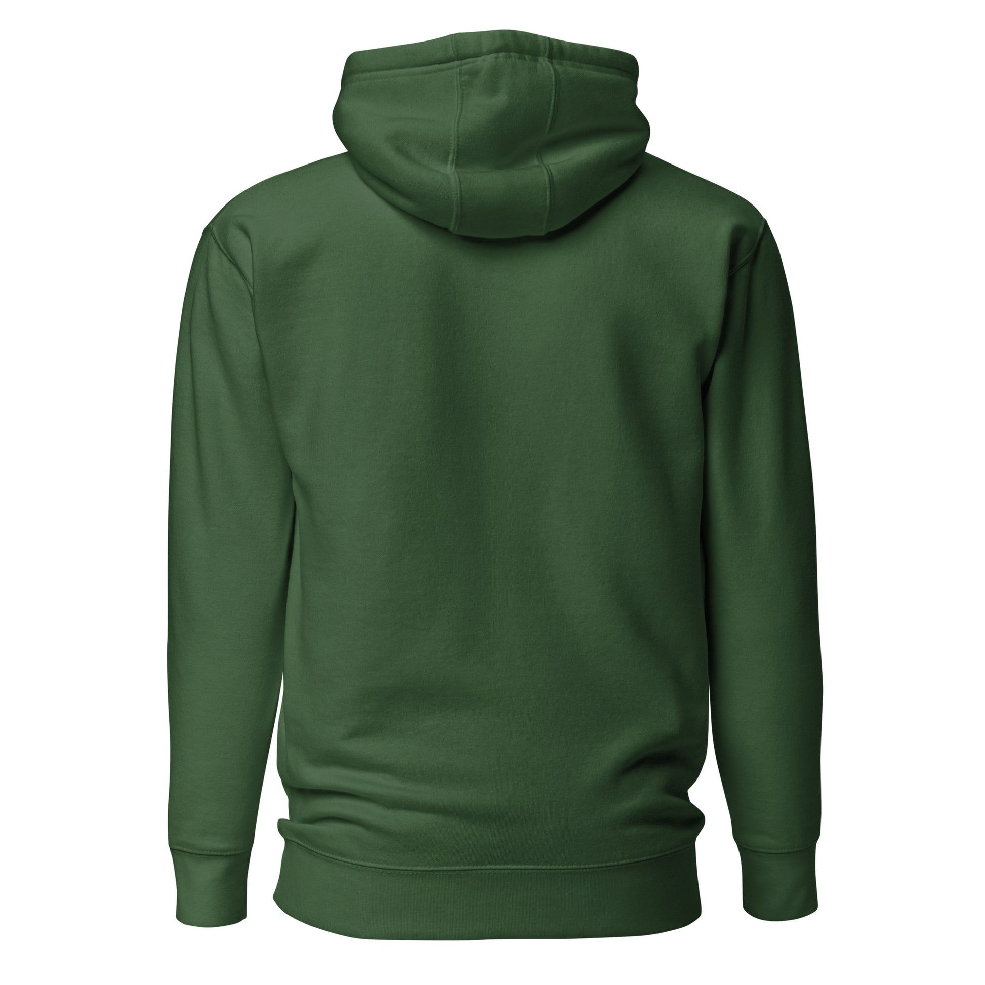 Green hoodie shown from the back on a white background