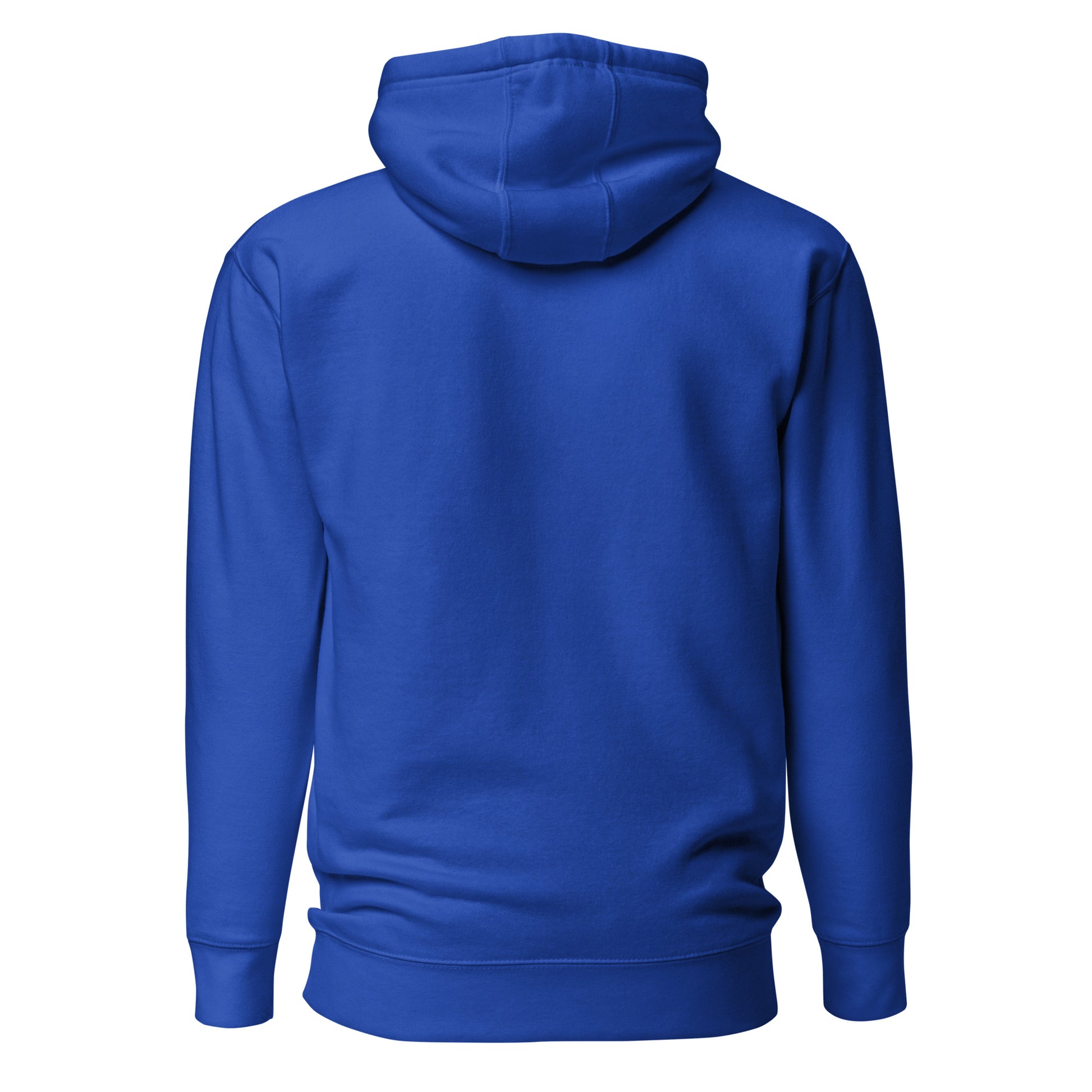 Blue hoodie shown from the back on a white background