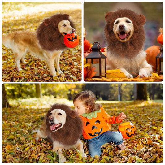 Collage of a dog in a lion costume with pumpkins and a child in an orange shirt with a pumpkin design.