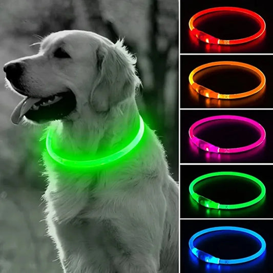 Dog wearing a green LED dog collar with images of other colored collars on the right.