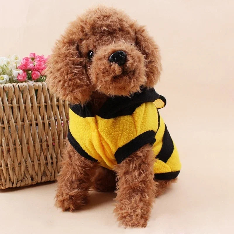 Small dog wearing a yellow and black bee costume in front of a woven basket with flowers.