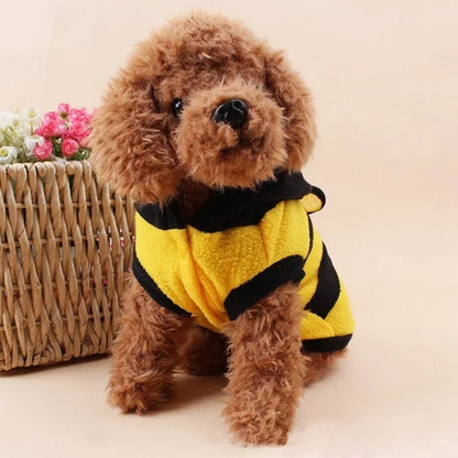 Small dog wearing a yellow and black bee costume in front of a woven basket with flowers.