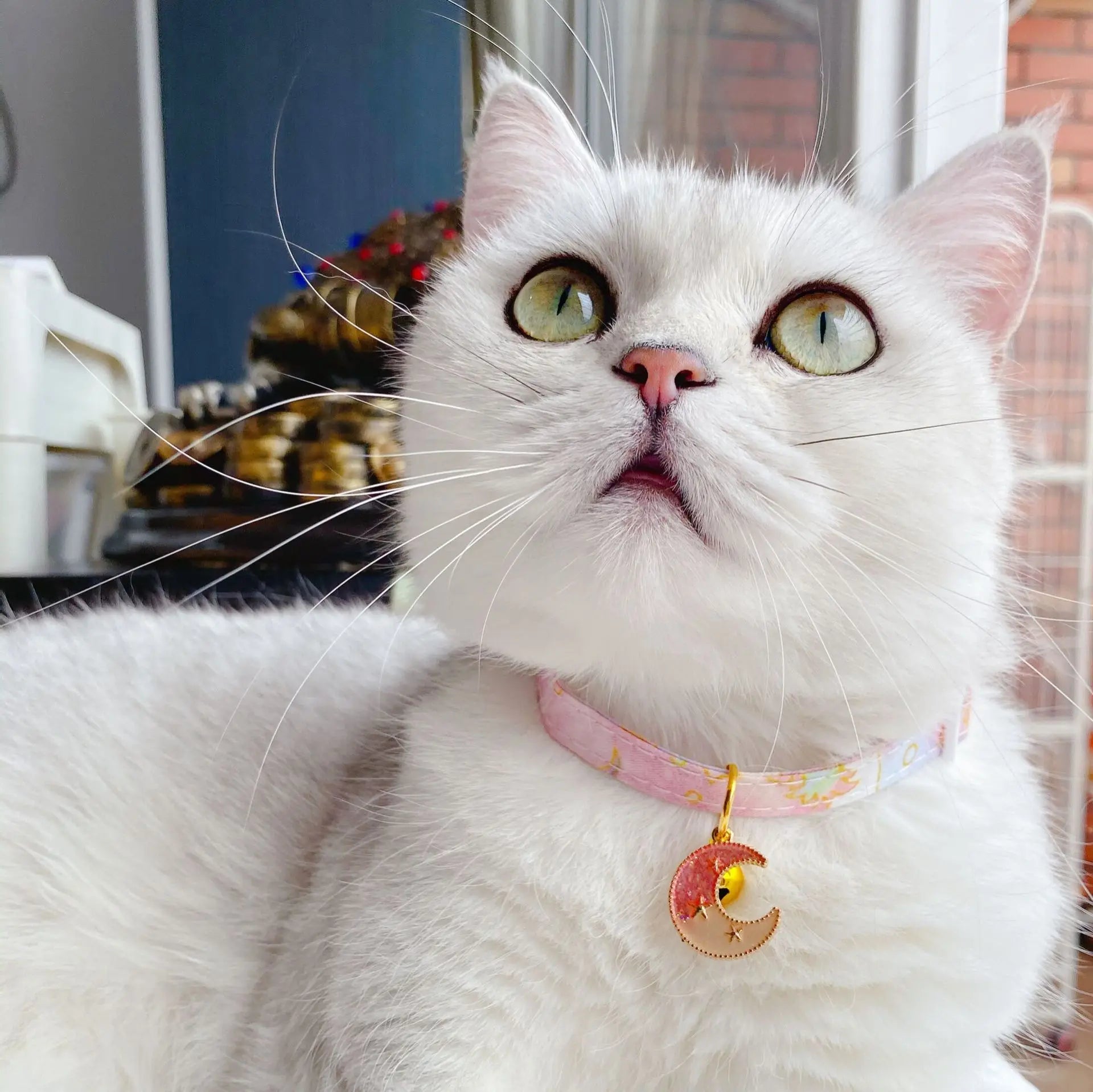 Cute Cat Collars with Moon Pendant Adjustable Safety Kitten Collar Puppy Chihuahua Raabit Necklace with Bells Pets Accessories