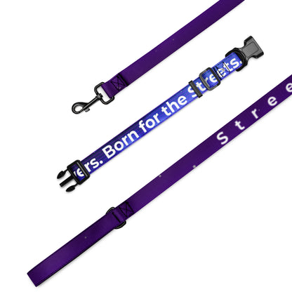 Purple dog leash with 'Born for the Streets' text on a white background
