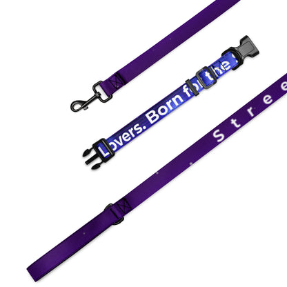 Purple dog leash with text on a white background
