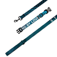 black and blue patterned pet collar and leash set on a white background. The adjustable collar has a black buckle and features the white text 'BOUND BY LOVE!' The leash has black metal hardware and a repeating blue diagonal stripe pattern.