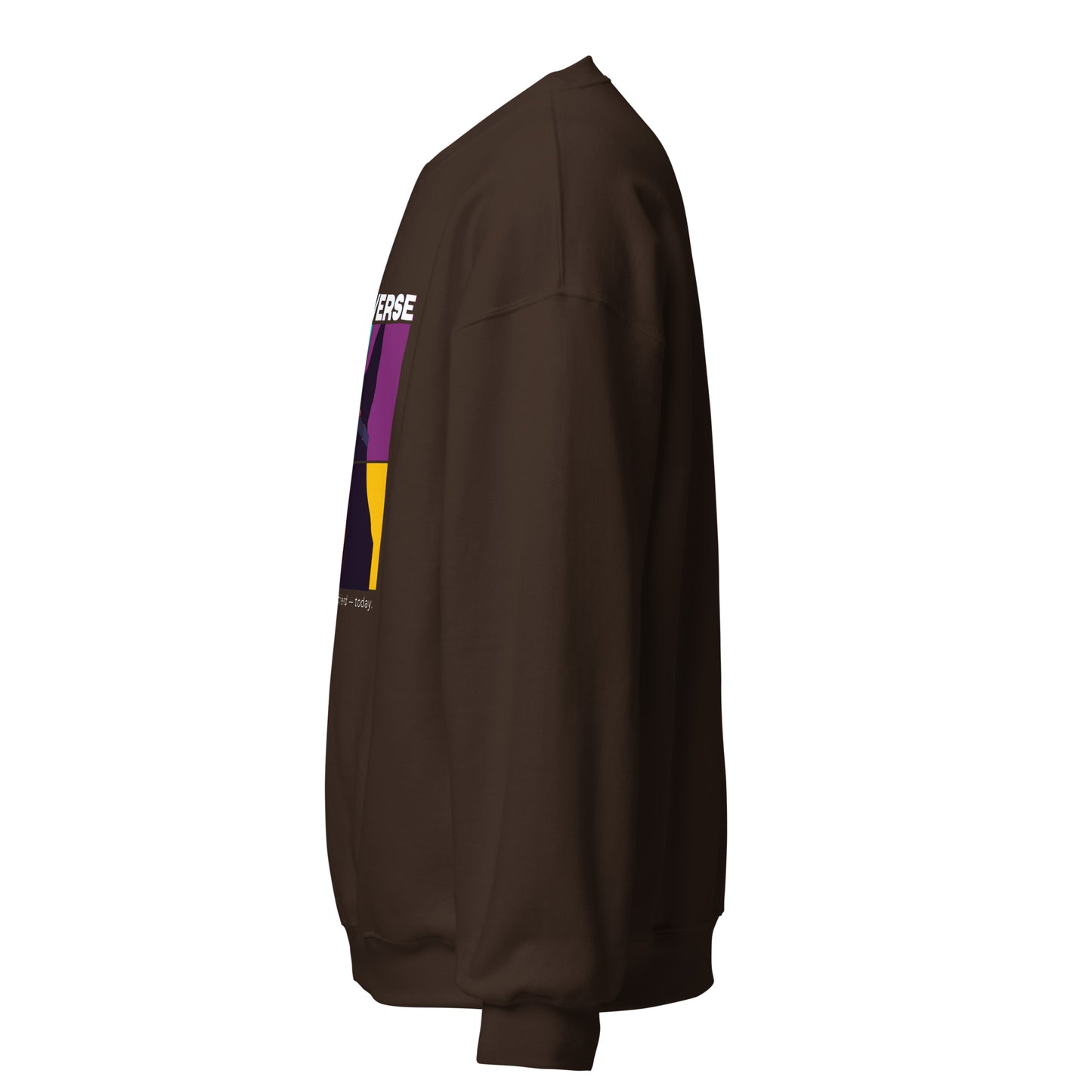 Brown sweatshirt with colorful logo on sleeve against a white background
