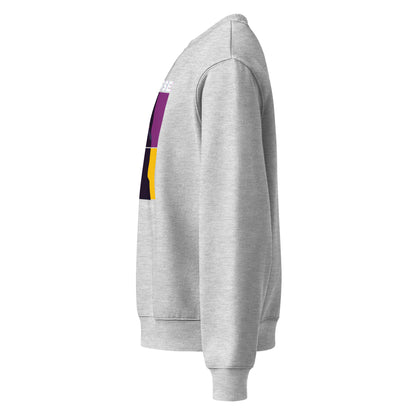 Gray hoodie with colorful accents on a white background