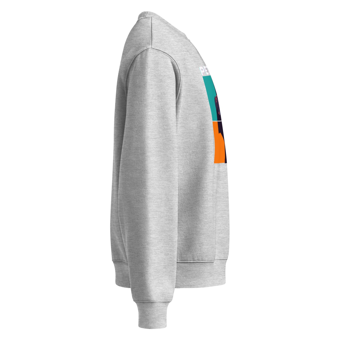 Gray sweatshirt with colorful sleeve design on a white background