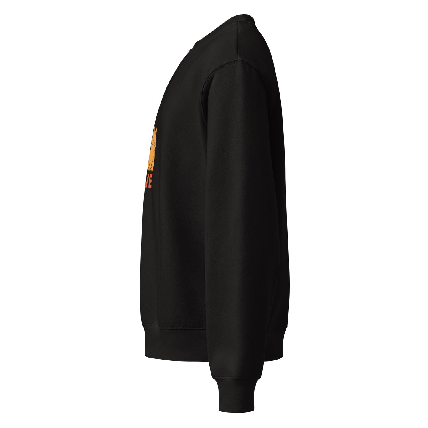 Black sweatshirt with a small orange and yellow logo on the sleeve against a white background