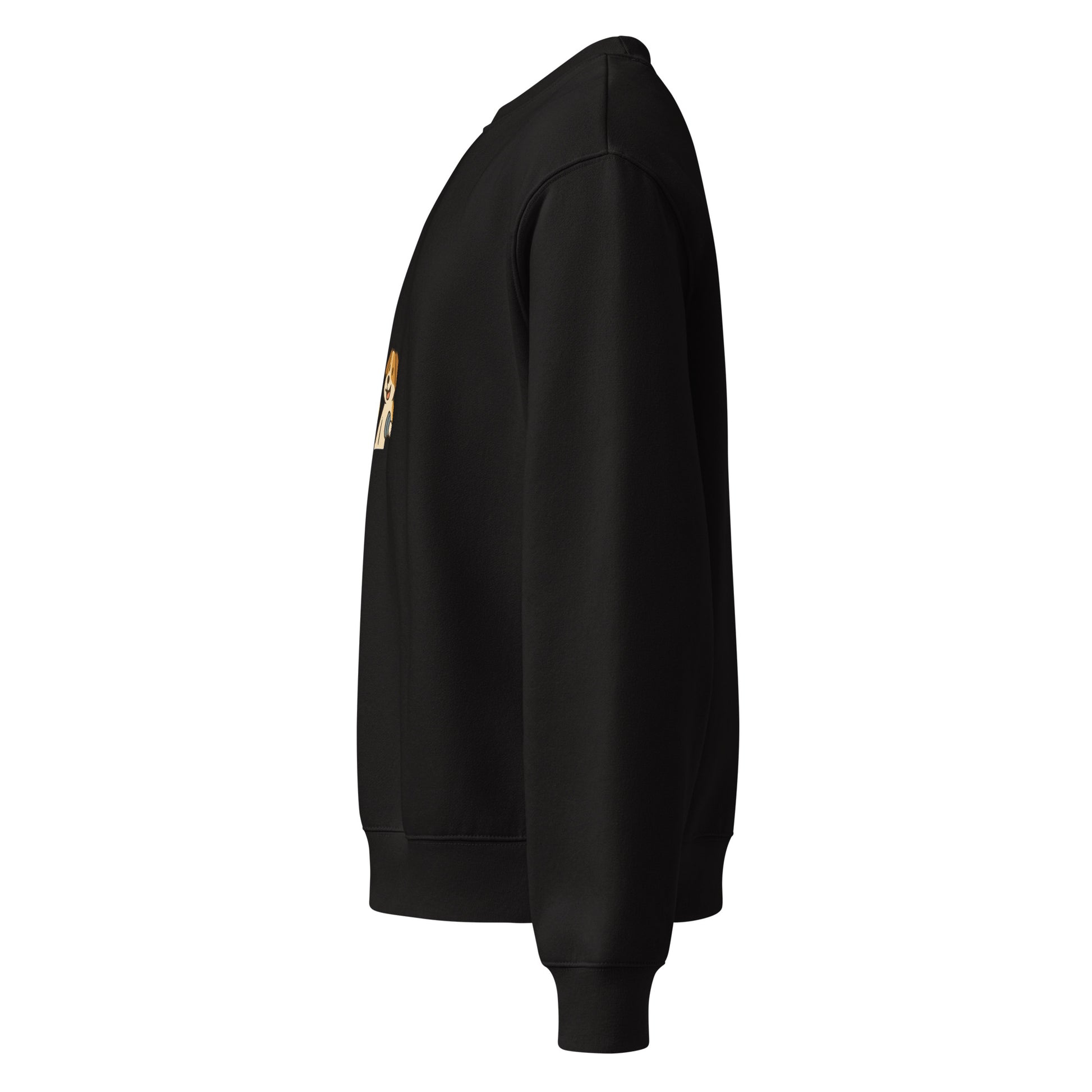 Black sweatshirt with a patch on the sleeve against a white background