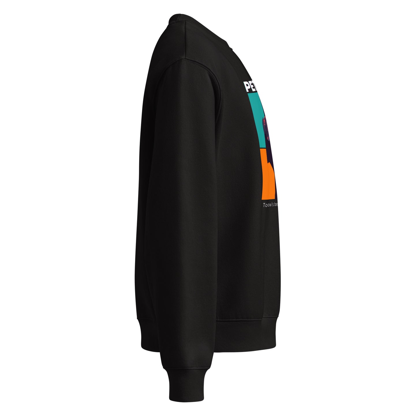 Black hoodie with colorful logo on sleeve against a white background