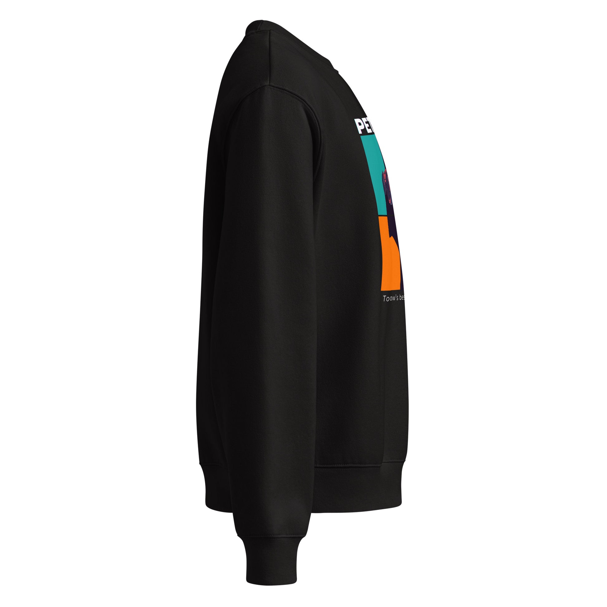 Black hoodie with colorful logo on sleeve against a white background