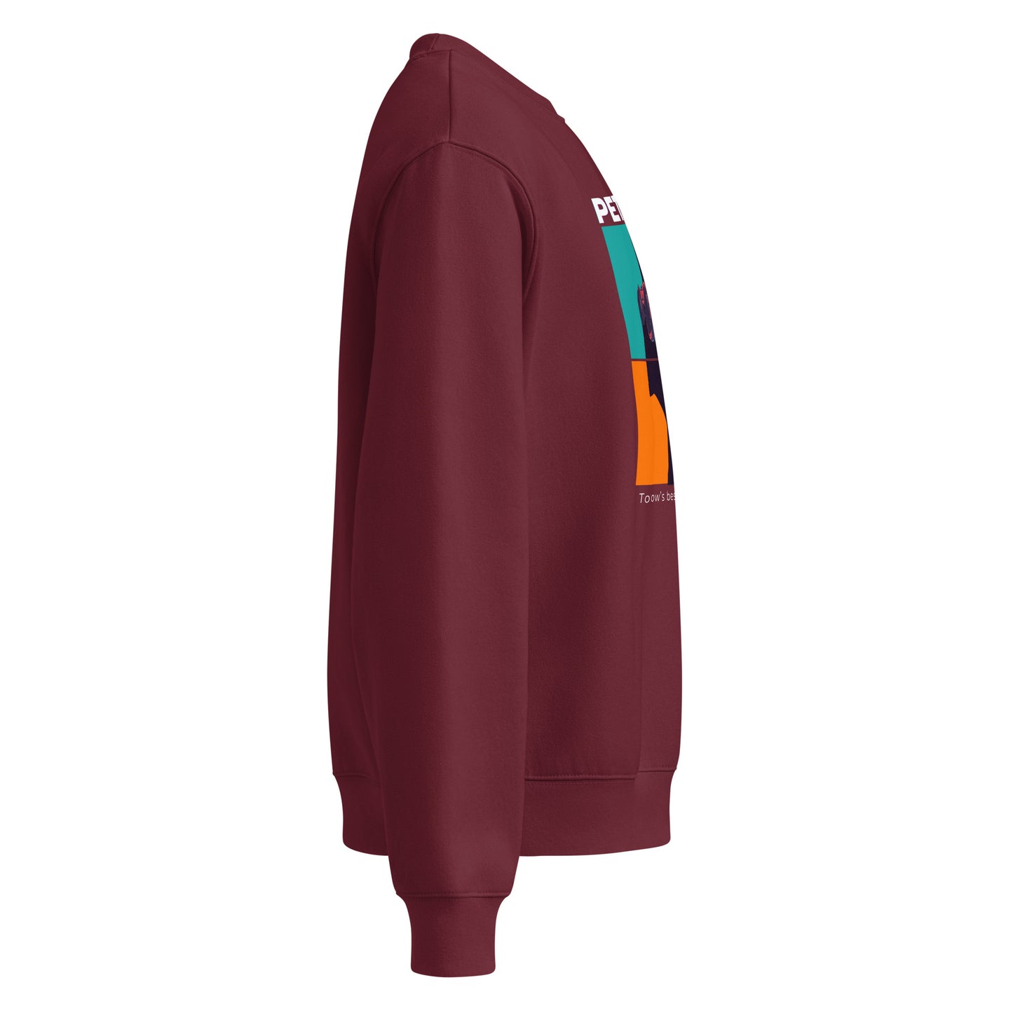 Maroon sweatshirt with colorful logo on sleeve against a white background