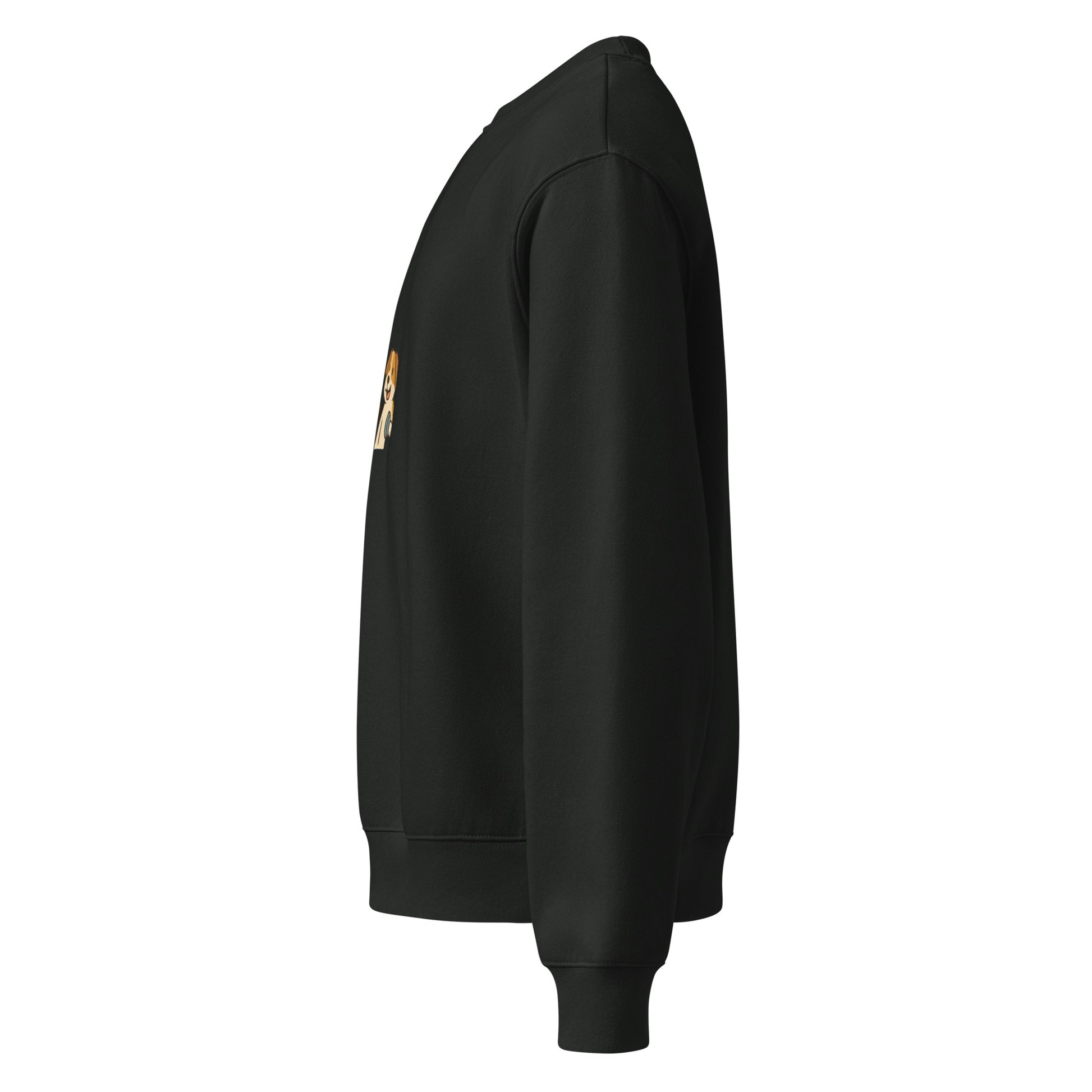Black sweatshirt with a patch on the sleeve against a white background