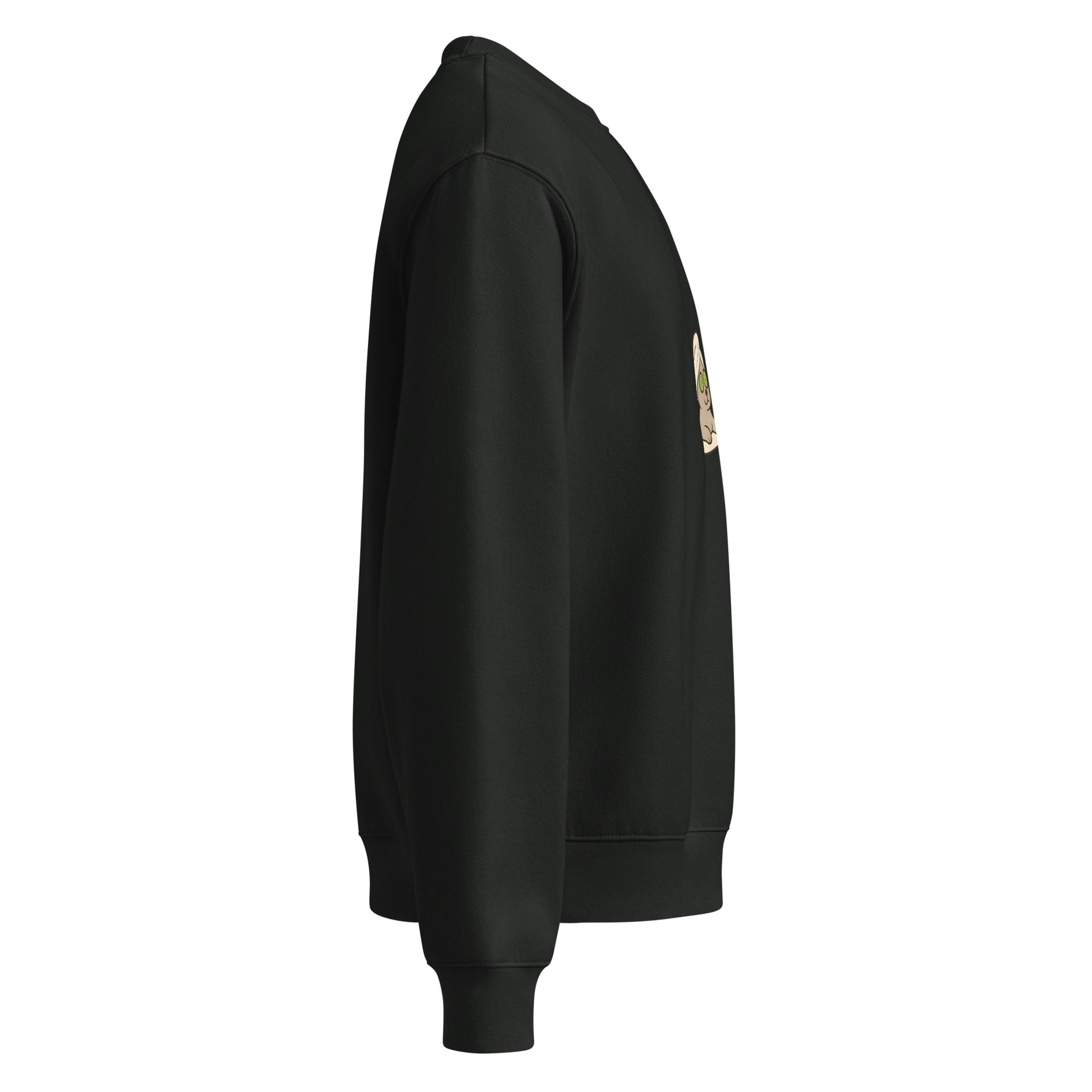 Black hoodie with a patch on the sleeve against a white background