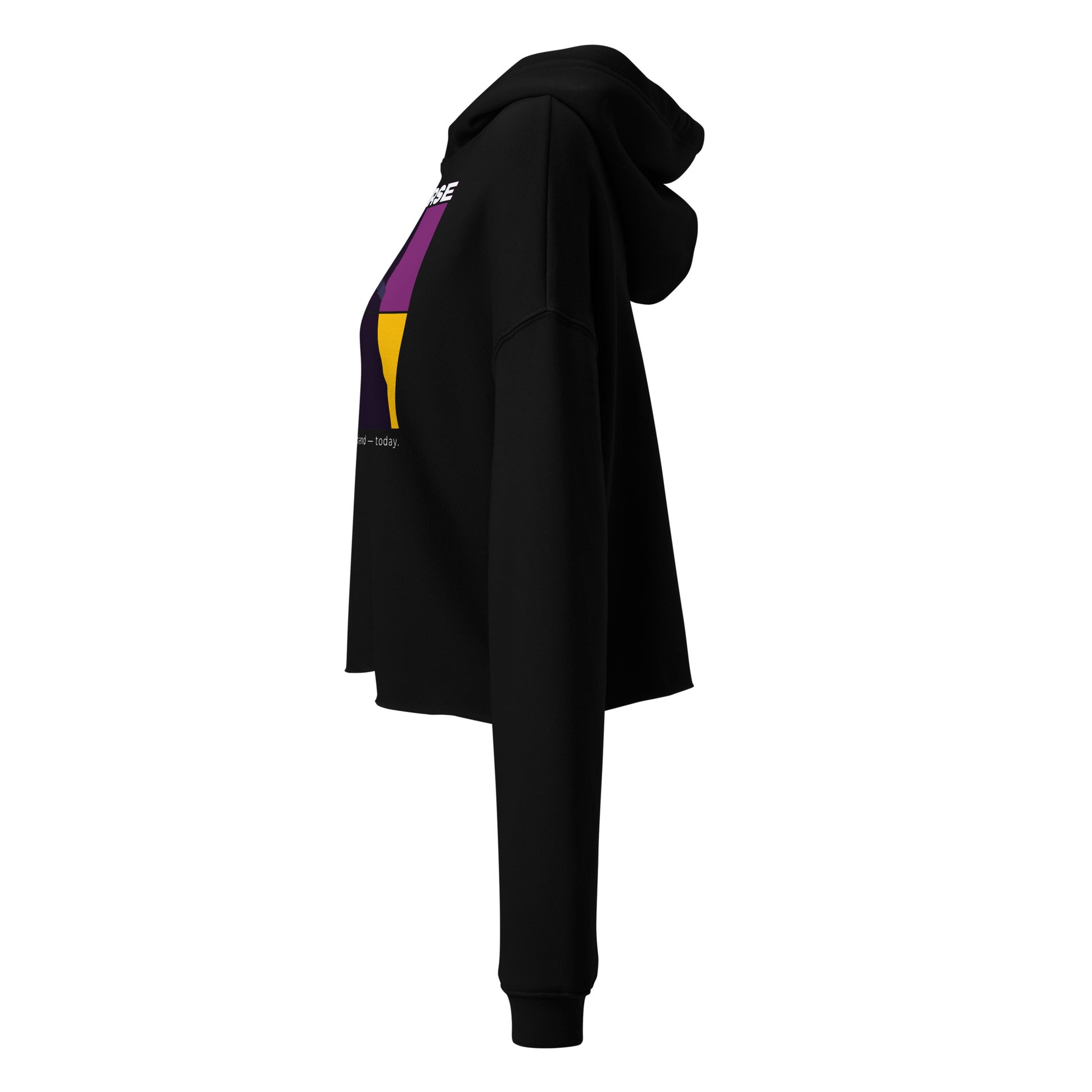 Black hoodie with colorful logo on a white background