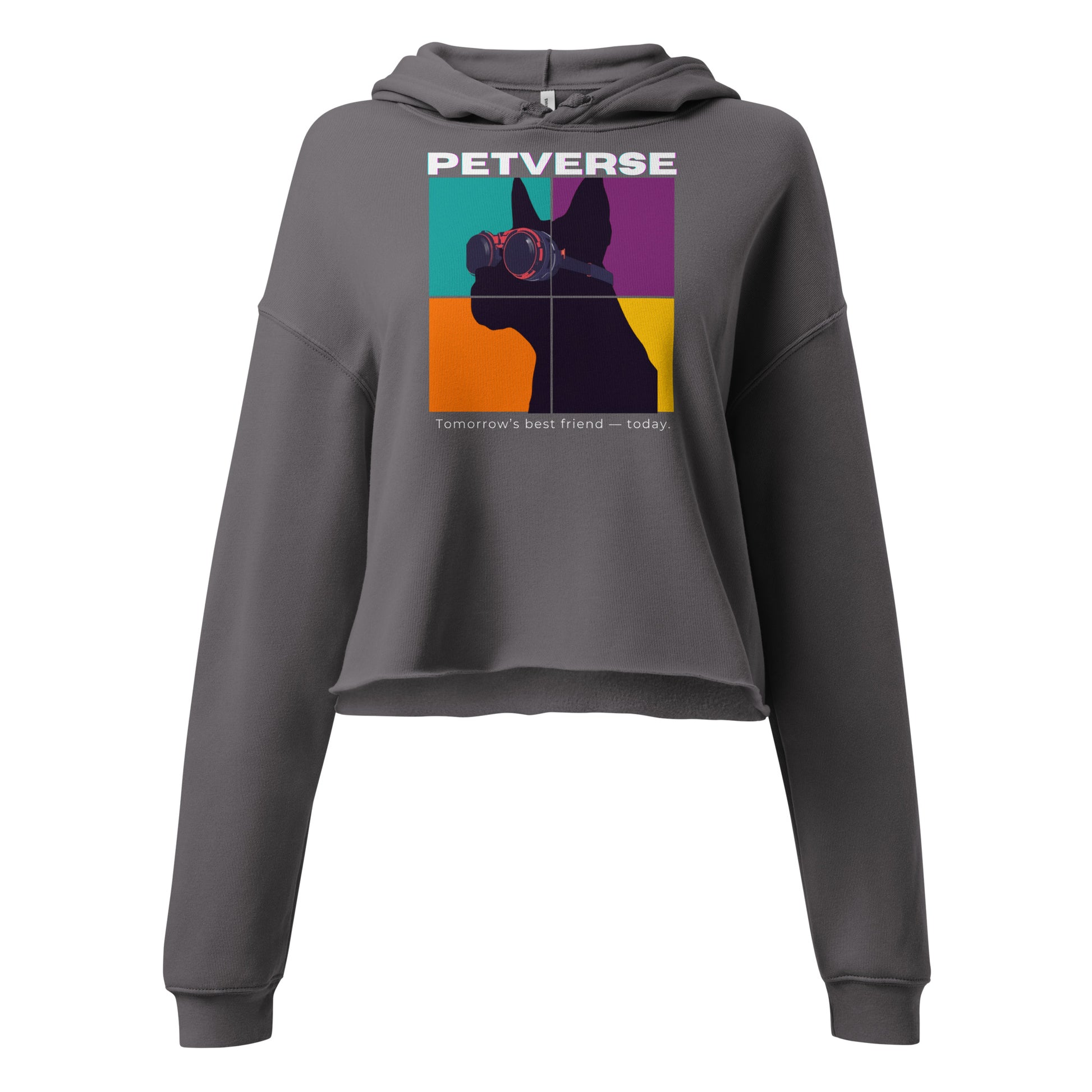 Gray hoodie with colorful graphic and 'PETVERSE' text on a white background