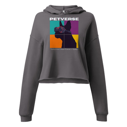 Gray hoodie with colorful graphic and 'PETVERSE' text on a white background
