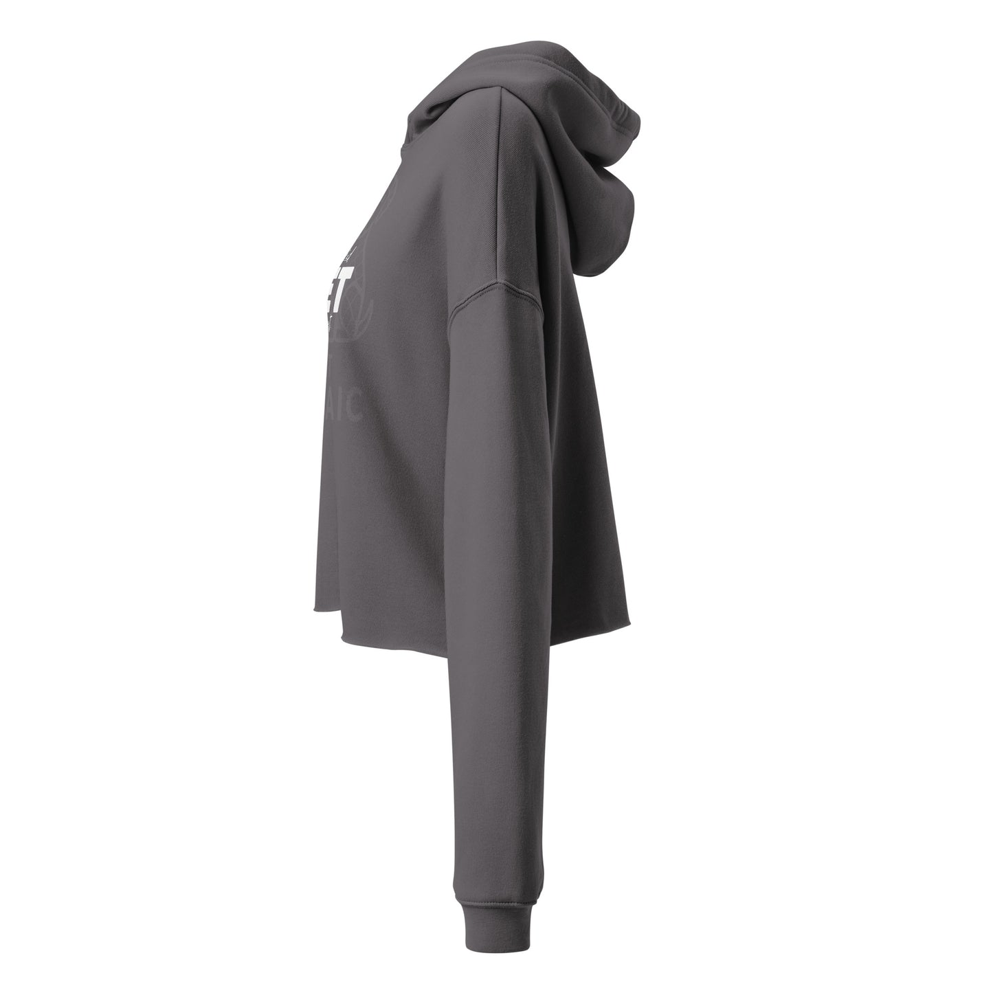 Gray hoodie on a white background